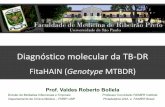 Diagnóstico molecular da TB-DR · Faculdade de Medicina de Ribeirão Preto Departamento de Clínica Médica . 91,2% 8,8% 155/170 3/15 10/15 2/15 ... La Mejor Propuesta para Evitar