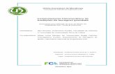 Comportamento hidromecânico de fundações de barragens ... · Dezembro, 2017 Glória Gonçalves de Mendonça Licenciada em Ciências de Engenharia Civil Comportamento hidromecânico