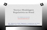 Teoria e Modelagem Regulatória no Brasil · Arendt, Schmitt, Kelsen . O Expertise versus virtude política e republicanismo Objetivos da Regulação: legitimidade regulatória O