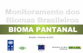Brasília – Fevereiro de 2012 - Ministério do Meio · PDF fileDesmatamento no bioma Pantanal tendo como referência a área total do bioma de 151.313 km². Até 2002 (km²) 2002-2008