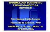 Prof. Marcelo Simão Ferreira Faculdade de Medicina ...regist2.virology-education.com/2012/1LA/docs/01_Ferreira.pdf · Dengue Malária Meningococcemia Sepse Hantavírus Febre tifóide