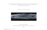 OSTEOLOGIA E SISTEMÁTICA DE Brannerion /atum …pantheon.ufrj.br/bitstream/11422/3043/1/618511.pdf · 2017-10-30 · DISSERTAÇÃO APRESENTADA AO PROGRAMA DE PÓS-GRADUAÇÃO EM