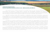 PANORAMA DO AGRONEGÓCIO BRASILEIRO · internacional de produtos do agronegócio é resultado de uma combinação de fatores,como investimento ... O agronegócio é um dos mais dinâmicos