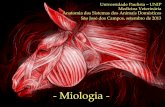 Acessos cirúrgicos aos ossos e articulações dos membros · Anatomia dos Sistemas dos Animais Domésticos São José dos Campos, setembro de 2013 - Miologia - Miologia •Estudo