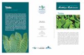 Taioba - Infoteca-e: Página inicial · rendimento, dependendo da variedade, pode chegar a 1,5 kg de folhas por planta durante o ciclo de seis a oito meses, o que equivale a 30 toneladas