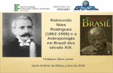 Raimundo Nina Rodrigues (1862-1906) e a Antropologia no ... · população negra e estudar os meios de promovê-la. • Defende o branqueamento com ressalvas: “produtos imprevistos