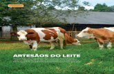 Artesãos do leite - simentalsimbrasil.org.brsimentalsimbrasil.org.br/imagens/editor/file/inforleite_34... · ras de Maristela, em 1996, produzindo queijo minas frescal. “Quando