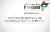SUPERINDENTENCIA DE PROTEÇÃO SOCIAL ESPECIAL¡rio-SUAS-PAEFI-1.pdf · Postura profissional atenta para as diversidades locais e ... operacionalização do acompanhamento familiar.