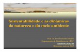 Sustentabilidade e as dinâmicas da natureza e do meio ambientelaam.ufsc.br/files/2011/05/sustentabilidade-e-as-Dinamicas.pdf · Daí a fé autorizada no progresso da humanidade,