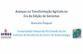 Avanços na Transformação Agrícola na Era da Edição de Genomasilsibrasil.org/.../GPasquali-2016-Edição-de-DNA-Biossegurança.pdf · Vantagens e Aplicações das Técnicas de