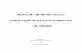 MANUAL DE ORIENTAÇÃO PARA REMESSA DE DOCUMENTOS … · manual de orientaÇÃo para remessa de documentos ao tce/mt gestÃo: " foco em resultados "2004 setembro/2004