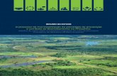 O processo de municipalização da estratégia de prevenção e ... · PREVENÇÃO E COMBATE AO DESMATAMENTO NA AMAZÔNIA Alta Floresta ... SITUAÇÃO EM 2008 A ocupação de Alta