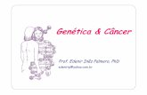 Genética & Câncer - funep.org.brfunep.org.br/emkt/resumos_genetica/oncogenetica_aulajaboticabal... · controle do ciclo celular e O que é o câncer? Proliferação descontrolada