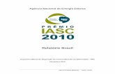 1 RELATORIO BRASIL IASC 2010 Reprografia - aneel.gov.br · Edvaldo Alves de Santana Julião Silveira Coelho Romeu Donizete Rufino . RELATÓRIO BRASIL – IASC 2010 3 ... Este esquema