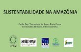 SUSTENTABILIDADE NA AMAZÔNIA - site.suframa.gov.brsite.suframa.gov.br/assuntos/publicacoes/copy_of_Apresentao_UFAM... · • Processo de identificação dos povos amazônicos; 7