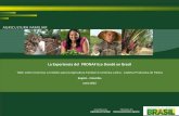 La Experiencia del PRONAF Eco Dendê en Brasil · dendê, com custeio associado para a manutenção da cultura até o quarto ano; •Limite de crédito por beneficiário: até US$