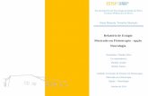Relatório de Estágio Mestrado em Fisioterapia - opção ...recipp.ipp.pt/bitstream/10400.22/5657/2/RE_SoniaMachado_2014.pdf · Escola Superior de Tecnologia da Saúde do Porto Instituto