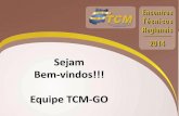 Sejam Bem-vindos!!! Equipe TCM-GO · A – Atos de Pessoal Lúcia Vânia Firmino de Almeida, Ibamar Tavares Júnior B ... 13/36 •Vigência: -Anual ...