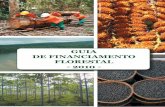 GUIA DE FINANCIAMENTO FLORESTAL - 2010 · em até 12 anos, com carência de 1 ano; - Implantação de viveiros de mudas florestais: reembolso em até 4 anos, com até 18 meses de