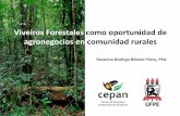 Viveiros Forestales como oportunidad de agronegocios en ...elti.fesprojects.net/2014 Monitoring Recife/s._ribeiro_viveiros... · Reuniões, Visitas aos viveiros, Pesquisa de mercado