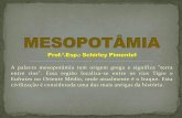 A palavra mesopotâmia tem origem grega e significa terra ... · A palavra mesopotâmia tem origem grega e significa "terra entre rios". Essa região localiza-se entre os rios Tigre