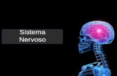 Sistema Nervoso - Sacramentinascolegiosacramentinas.com.br/professor/wp-content/uploads/2016/10/... · Formada pelo encéfalo e pela medula espinal ... Medula Espinhal . Encéfalo