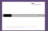 Plano de Ações de Melhoria - agrup-alcains-svb.comagrup-alcains-svb.com/wp-content/uploads/2017/12/PAM-2017-2018-Dez... · Aprovado pelo Conselho Pedagógico de 18/07/2017 e ...