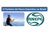 O Turismo da Pesca Esportiva no Brasil · Costumam Pescar - 2013 Universo 7,8 milhões Fonte: IPSOS 2004 e 2014, Hábitos de Pesca. AB 37% CDE 63% Costumam Pescar - 2004 ... Apresentação