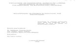FACULDADE DE ENGENHARIA QUÍMICA DE LORENAsistemas.eel.usp.br/bibliotecas/antigas/1997/BID97007OCR.pdf · etapas da precipitação fracionada: linha 1 - marcador de massa molar (66