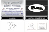 Modulo 18 SAR 5 Modulo 19 Final [Modo de Compatibilidade] · para um novo fármaco e também em perfis farmacológicos diferentes Exemplo: derivados da morfina ... Nicotina (inseticida)