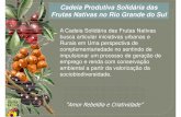 Cadeia Produtiva Solidária das Frutas Nativas no Rio ... · Cadeia Produtiva Solidária das Frutas Nativas no Rio Grande do Sul A Cadeia Solidária das Frutas Nativas busca articular