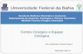 Universidade Federal da Bahia Escola de Medicina ... · Cirúrgica Universidade Federal ... • Avaliação clínica pré-anestésica • Prescrição do pré-anestésico ... •