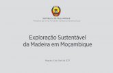 Exploração Sustentável da Madeira em Moçambique · disponibilizados pela autoridade alfandegária chinesa e pelo governo de Moçambique no período compreendido entre 2006 e 2016.