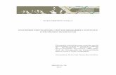 Dissertação Kátia Cristina Favilla - repositorio.unb.brrepositorio.unb.br/bitstream/10482/31129/1/2017... · Comunidades Tradicionais (CNPCT), ampliou os debates sobre reconhecimento