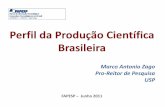 Perfil da Produção Científica Brasileira - fapesp.br · padrões de organização e de gestão da produção científica e tecnológica O Brasil ainda está distante do primeiro
