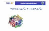 TRANSCRIÇÃO E TRADUÇÃO - Universidade Federal de Pelotas · 2010-10-07 · RNA PROTEÍNA Ribossomo Estrutura de um Gene. ... Sítio de ligação do ribossomo e códon de iniciação
