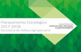 Planejamento Estratégico 2017-2018 - agricultura.gov.br · Análise e Avaliação dos resultados do Plano de Ação em 2016 Atualização do Plano de Trabalho para o biênio 2017-2018