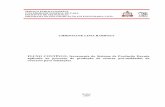 CHRISTIANE LIMA BARBOSA - repositorio.ufpa.brrepositorio.ufpa.br/.../6008/1/Dissertacao_FluxoContinuoFerramenta.pdf · Dados Internacionais de Catalogação-na-Publicação (CIP)