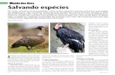 Mundo das Aves Salvando espécies - IB - Instituto de ...lfsilveira/pdf/a_2012_cecsalvando.pdf · Milhares de espécies de animais e vegetais ... essa não ocorre por causas naturais,