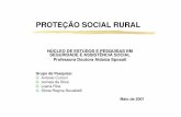 PROTEÇÃO SOCIAL RURAL · da população rural? ... População residente Total Urbana Rural Total % Total % ... 0,8% do nº total de imóveis rurais têm área superior a