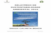 RELATÓRIO DE SUSTENTABILIDADE AMBIENTAL 2016 · económica e ambiental e que permite a consolidação de uma gestão ... colaboradores e assim garantir a sustentabilidade ambiental