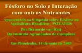 Fósforo no Solo e Interação com outros Nutrientesbrasil.ipni.net/ipniweb/region/brasil.nsf... · Tem sido aceito como o P disponível. Também P extraído com resina tem sido chamado
