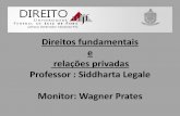 Direitos fundamentais e relações privadas Professor ... · DJU 19.dez.1997, RE 161.243-6/DF, Rel. Min Carlos Velloso Casos 1 – Air France