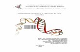 Variabilidade genômica: a utilização de DNA barcodes · Introdução A Taxonomia, ciência de classificação dos seres vivos, estabelece critérios para classificar todos os animais