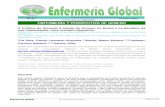 ENFERMERÍA Y PERSPECTIVA DE GÉNERO - scielo.isciii.esscielo.isciii.es/pdf/eg/v12n32/pt_enfermeria3.pdf · pelos dados de mortalidade do Brasil, no período de 1991 a 2005(10). Dados