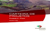 CARTEIRA DE PROJETOS - cepro.pi.gov.br · Figura 62 Calados dos principais portos brasileiros ... Figura 80 - Mapeamento dos depósitos minerais potenciais e em exploração, Piauí,