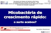 Micobactéria de crescimento rápido - APECIHapecih.org.br/arquivos/aulas/MCR Geraldine.pdf · Universidade Federal do Rio de Janeiro • Rafael Silva Duarte - Instituto de Microbiologia