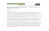 Barragens do rio Madeira Sedimentos 1: Resumo da Sériephilip.inpa.gov.br/publ_livres/2014/Barragens_do_rio_Madeira... · Os estudos de viabilidade de 2004 e 2005 [5, 6] e os estudos