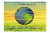 Ministério da Agricultura, Pecuária e Abastecimento BRASIL ... · dos rios brasileiros criticidade quali- ... Área de recarga dos principais sistemas aqÜÍferos do paÍs: ...