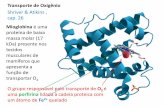 Transporte de Oxigênio - debiq.eel.usp.br 11.pdf · Há 4 porfirinas / molécula proteica . Transferência de O 2 ... boas respostas Também: Processos catalíticos Shriver e Atkins,